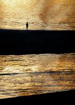 Jaime Oriz - In the middle of the zebra