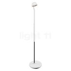 Occhio Lei lettura Vloerlamp LED, afdekking goud mat/body wi, Huis en Inrichting, Verzenden, Nieuw