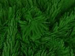 10 meter langharig bont - Groen - Pluche stoffen, 120 cm of meer, Ophalen of Verzenden, Polyester, Groen