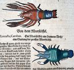 Conrad Gesner [1516-1565] - Crayfish, Sea Crab - hand