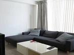 Studio Cornelis de Houtmanstraat in Den Helder, Overige soorten, Noord-Holland