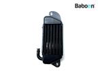 Oliekoeler BMW R 1200 C Independent 2000-2002 (R1200C) Right, Motoren, Verzenden, Gebruikt