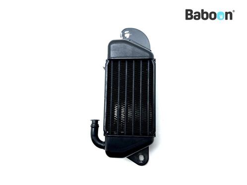 Oliekoeler BMW R 1200 C Independent 2000-2002 (R1200C) Right, Motoren, Onderdelen | BMW, Gebruikt, Verzenden