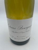 2021 Leroy Coteaux-Bourguignons ( Maison ) - Bourgogne - 1, Nieuw