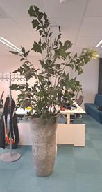 kunstplant exclusief pot voor kantoor en huisinrichting, Ophalen, Zo goed als nieuw, Binnen