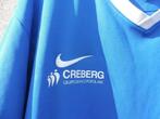 Atalanta - Italiaanse voetbal competitie - 2014 -, Nieuw