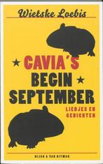 Cavias Begin September, Ophalen of Verzenden, Nieuw