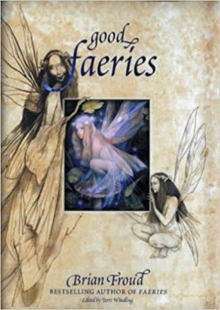 Good Faeries/bad Faeries 9781862053021 Terri Windling, Boeken, Taal | Engels, Gelezen, Verzenden