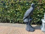 Adelaar XXL op Boomstam . Hoogte 115cm, Ophalen, Nieuw, Beton, Dierenbeeld