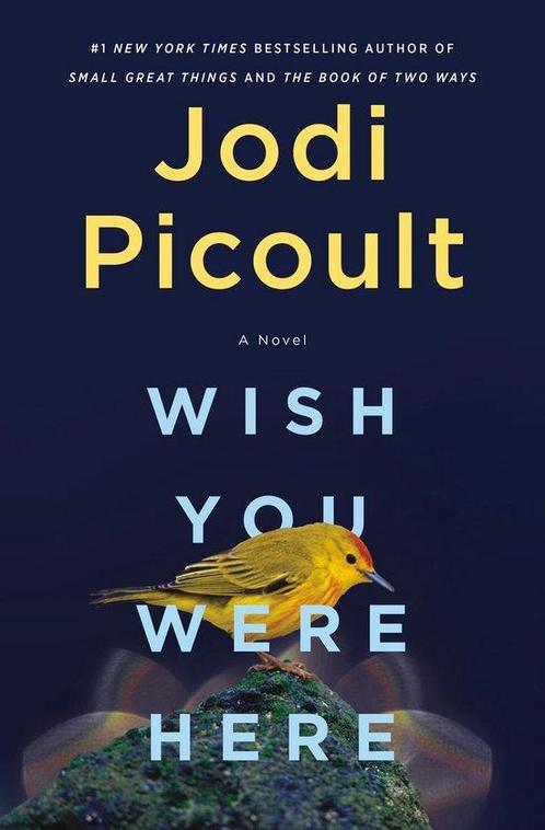 Wish You Were Here 9781984818416 Picoult, Boeken, Overige Boeken, Gelezen, Verzenden