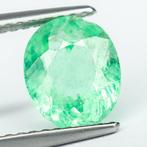 Zonder Minimumprijs Smaragd - 1.47 ct - Gem Report Antwerp, Sieraden, Tassen en Uiterlijk, Edelstenen, Nieuw