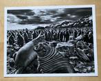 Sebastião Salgado - Genesis. Saint Andrews Bay, South