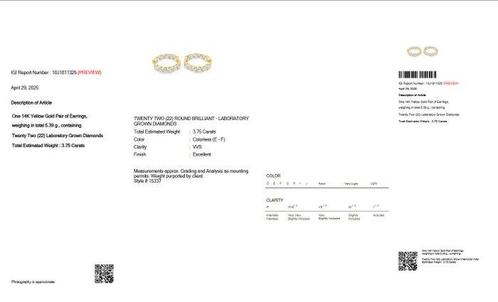 Zonder Minimumprijs - Oorstekers - 14 karaat Geel goud -, Sieraden, Tassen en Uiterlijk, Antieke sieraden