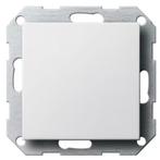 Gira Blindplaat Zuiver wit (hagelwit) 026803, Nieuw
