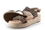 Dolcis Sandalen in maat 40 Panter, Kleding | Dames, Schoenen, Dolcis, Overige kleuren, Verzenden, Sandalen of Muiltjes