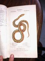 [Various] - Dizionario delle scienze naturali - 1842, Antiek en Kunst, Antiek | Boeken en Bijbels