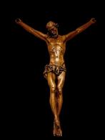sculptuur, Coprus Christi - 63 cm - Eik - 1750
