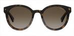 Polaroid PLD 6043/S Dames Zonnebril - Havana (Zonnebrillen), Sieraden, Tassen en Uiterlijk, Zonnebrillen en Brillen | Dames, Nieuw