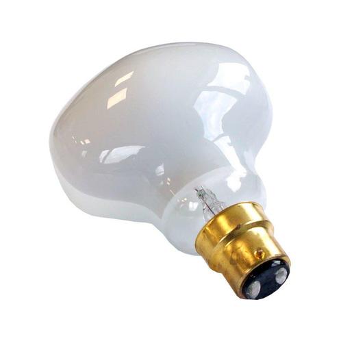 Ledmaxx LED Filament Hamerkop B22d 7W 900lm 2700K Dimbaar, Huis en Inrichting, Lampen | Overige, Nieuw, Ophalen of Verzenden