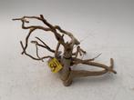 Spiderwood Selected SW1 - 48x23x23cm (Spider wood), Dieren en Toebehoren, Vissen | Aquaria en Toebehoren, Ophalen of Verzenden