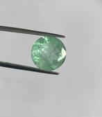 Zonder Minimumprijs Groen Smaragd - 7.45 ct - Bellerophon, Nieuw