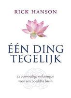 Eén ding tegelijk 9789025901967 Rick Hanson, Verzenden, Gelezen, Rick Hanson
