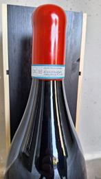 2020 Zenato, Ripassa Valpolicella Ripasso - Veneto Superiore, Nieuw