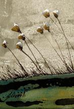 Guido Borelli - dove?