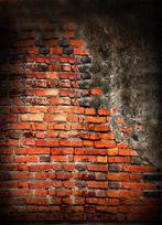 Achtergrond met print 1.8x2.5m BR-F1411, Audio, Tv en Foto, Fotografie | Fotostudio en Toebehoren, Verzenden, Nieuw, Achtergrond