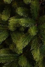 2dekans | Black Box Trees Nagoya Kunstkerstboom - H240 x, Diversen, Kerst, Ophalen of Verzenden, Zo goed als nieuw