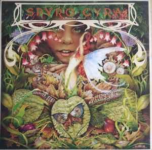 LP gebruikt - Spyro Gyra - Morning Dance, Cd's en Dvd's, Vinyl | Jazz en Blues, Zo goed als nieuw, Verzenden