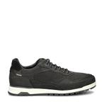 Van Lier Ravello lage sneakers voor heren in het Zwart, Kleding | Heren, Schoenen, Verzenden, Zwart, Van Lier, Nieuw