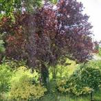 Woning te huur in Hoogeveen - 180 m² - 4 kamer(s) - 4 kamers, Huizen en Kamers, Huizen te huur, Overige soorten, Hoogeveen, Drenthe