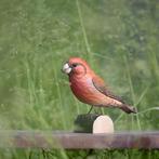 DecoBird Kleine Kruisbek, Ophalen of Verzenden, Nieuw