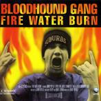 cd single card - Bloodhound Gang - Fire Water Burn, Verzenden, Zo goed als nieuw