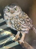 Franz Trümper (1941-2021) - Uil