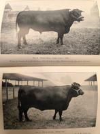 Multiples - Journal of the Royal Agricultural Society of, Antiek en Kunst, Antiek | Boeken en Bijbels
