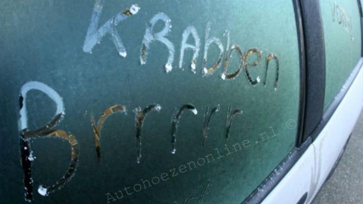 Nooit meer ijskrabben met de Dakhoes van Autohoezenonline, Auto diversen, Overige Auto diversen, Ophalen of Verzenden