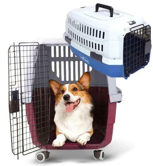 Transportbox voor honden, Dieren en Toebehoren, Transportboxen, Nieuw, Ophalen of Verzenden