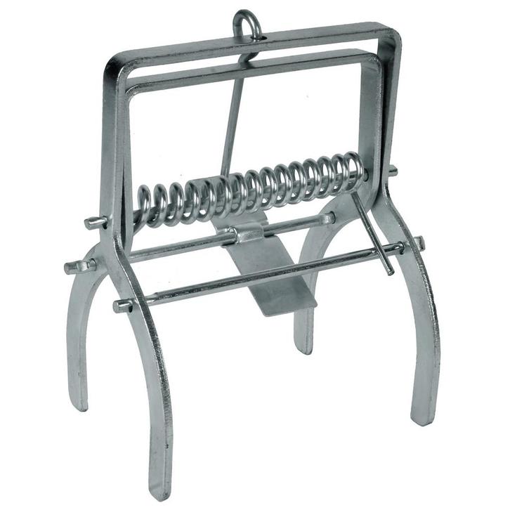 Talen Tools Mollenklem: Duurzame en Effectieve Mollenbest..., Diensten en Vakmensen, Ongediertebestrijding