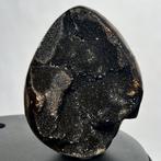 Septaria Wild Black Crystals Fine Large Wild Septaria Black
