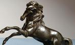 sculptuur, Cavallo Rampante - 28 cm - Brons