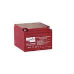Zenith VRLA accu | ZGL120042 | 12V 26Ah, Ophalen of Verzenden, Nieuw