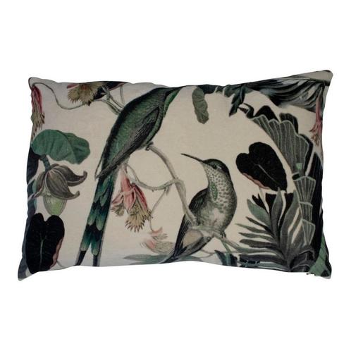 groot kussen fluweel exotisch honing vogel 40x60cm*, Huis en Inrichting, Woonaccessoires | Overige, Verzenden