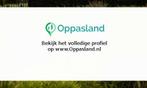 Dewi zoekt een oppas in Brunssum voor 2 kinderen.