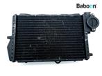 Radiateur BMW K1 (1461223), Motoren, Onderdelen | BMW, Verzenden, Gebruikt