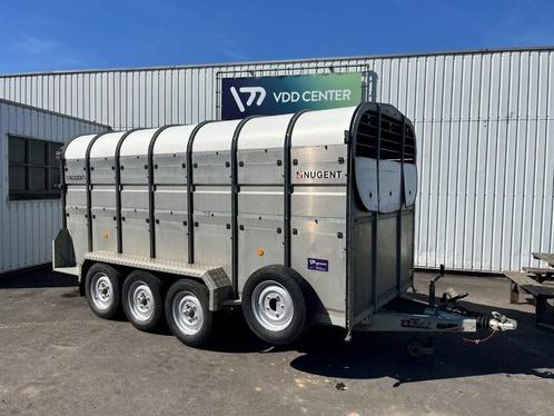 Veiling: Veetrailer Nugent LC4318T 2021, Dieren en Toebehoren, Paarden en Pony's | Trailers en Aanhangwagens, Overige typen, Zo goed als nieuw