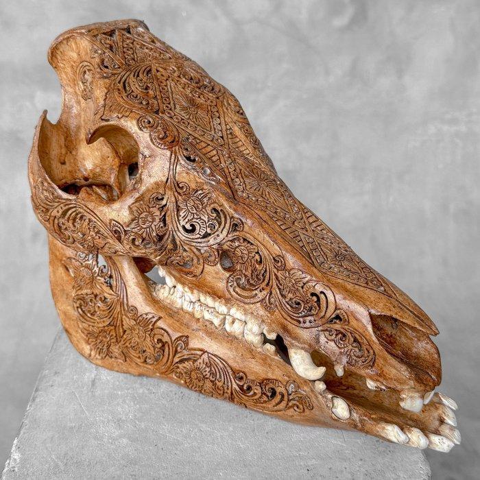 Geen veilingprijs - Bruine uitgeholde patina wild zwijn -, Antiek en Kunst, Kunst | Designobjecten