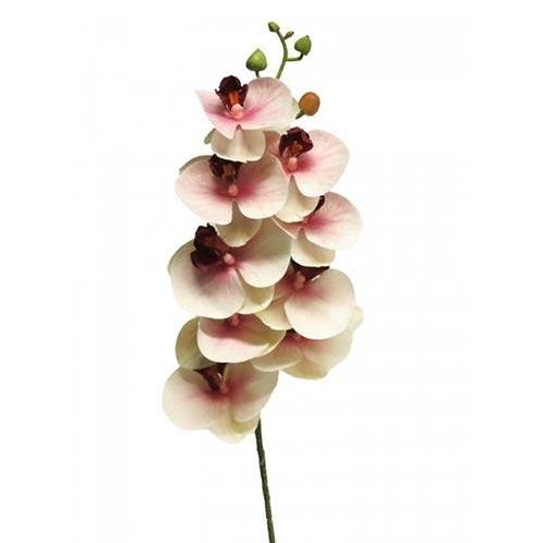 Phalaenopsis Orchidee Bora 77 cm roze kunstbloem - Nova Natu, Huis en Inrichting, Woonaccessoires | Overige, Nieuw, Verzenden