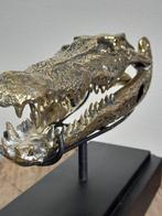 Beeld, Unieke bronzen krokodillen schedel - op standaard -